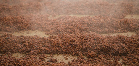 大曲酱香酒凭啥那么贵？