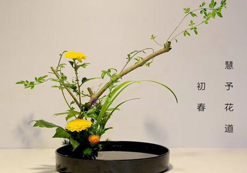 传统插花培训班